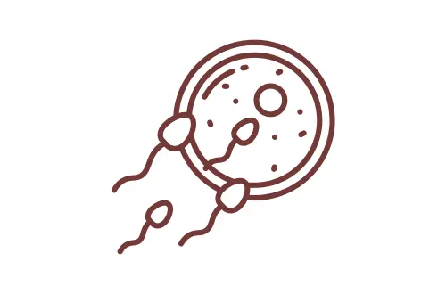 Fertility Center